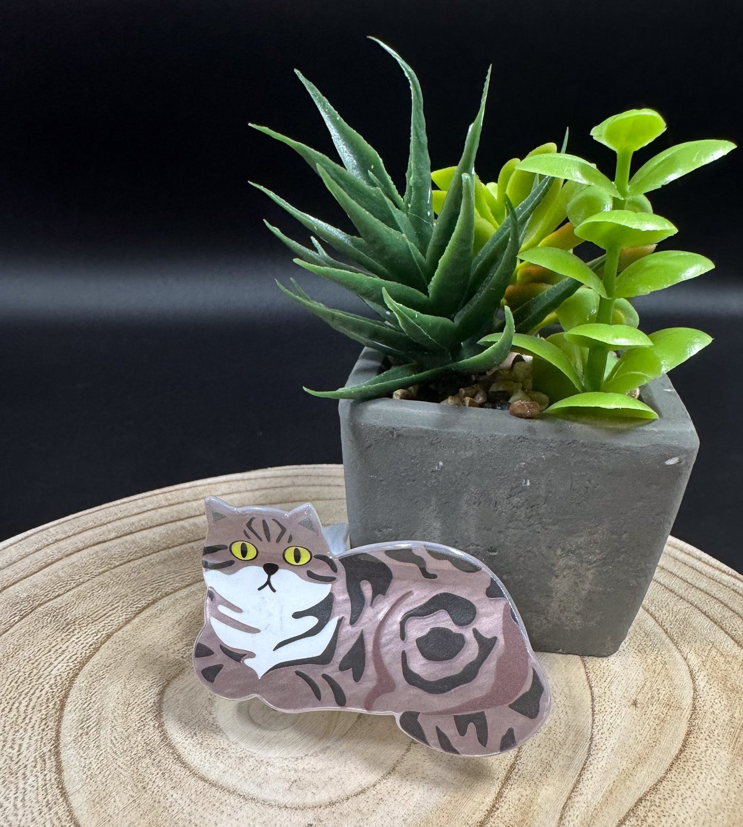Pince à cheveux à motif de chat Tabby Boutique Poilue & Co.