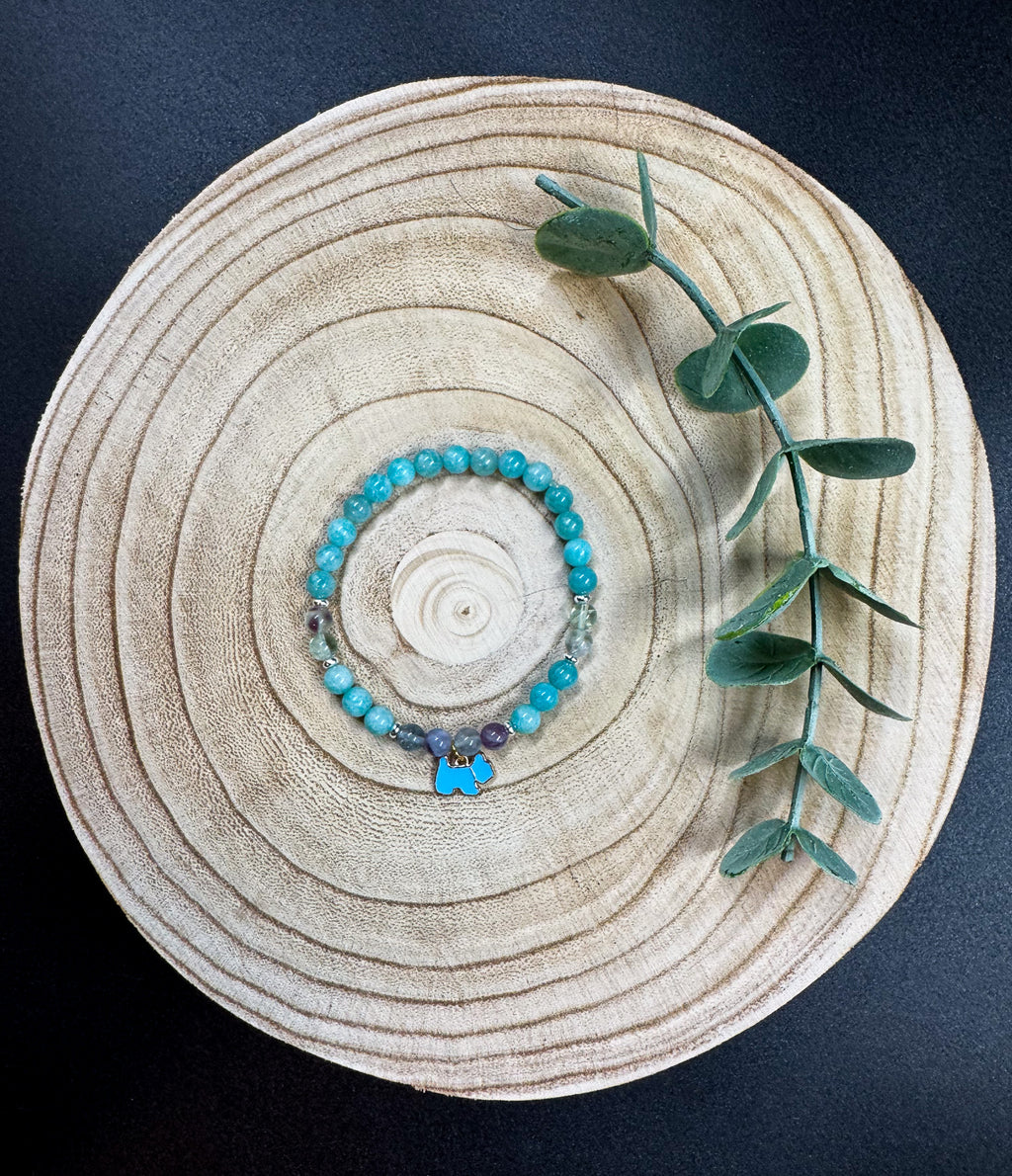 Bracelet de pierres semi-précieuses d'Amazonite Mozambique et de Fluorite avec une breloque de Shitzu bleu