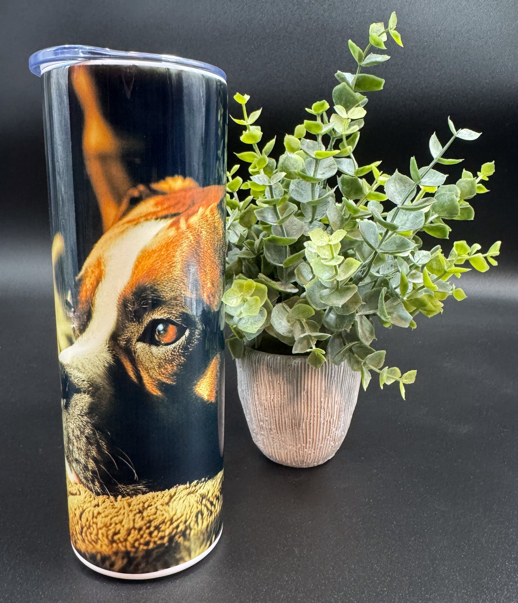 Bouteille isotherme avec visage de chien Boxer sur fond sombre Boutique Poilue & Co.