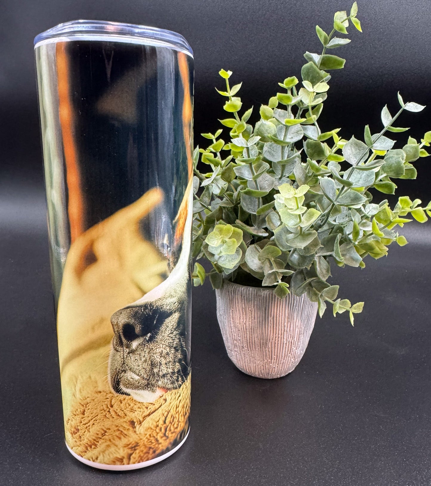 Bouteille isotherme avec visage de chien Boxer sur fond sombre Boutique Poilue & Co.