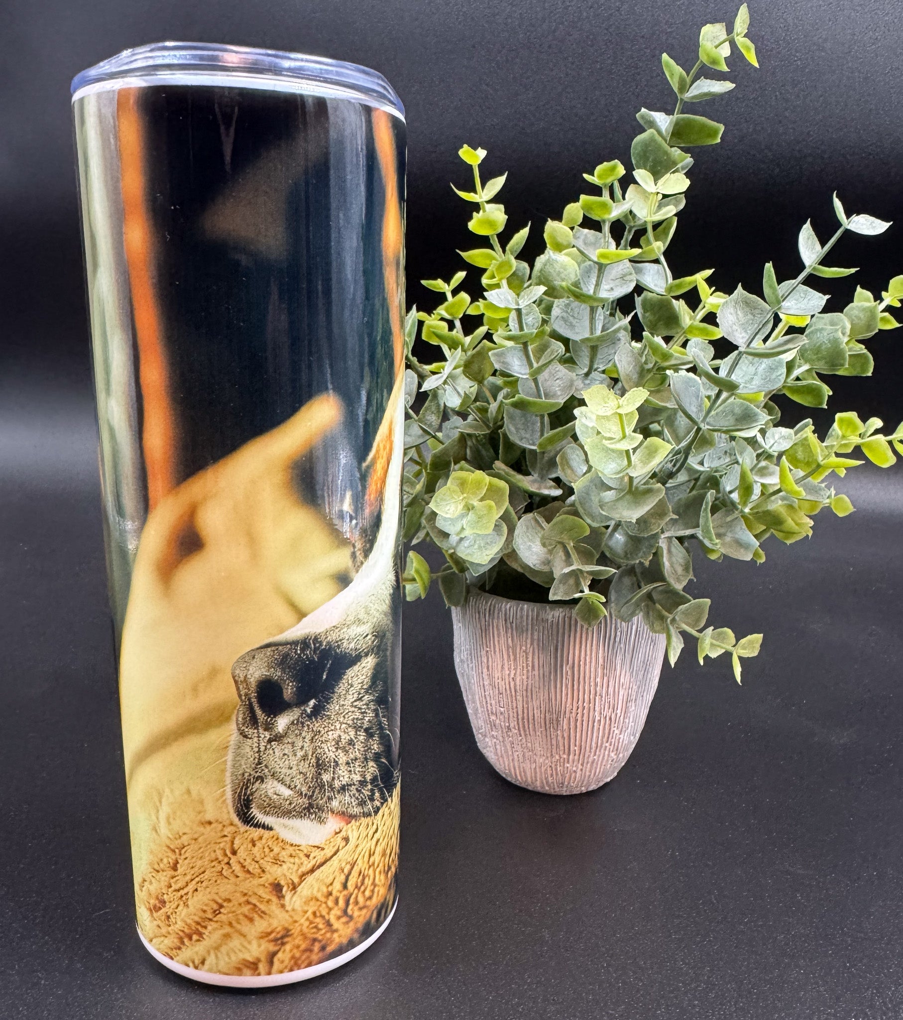 Bouteille isotherme avec visage de chien Boxer sur fond sombre Boutique Poilue & Co.