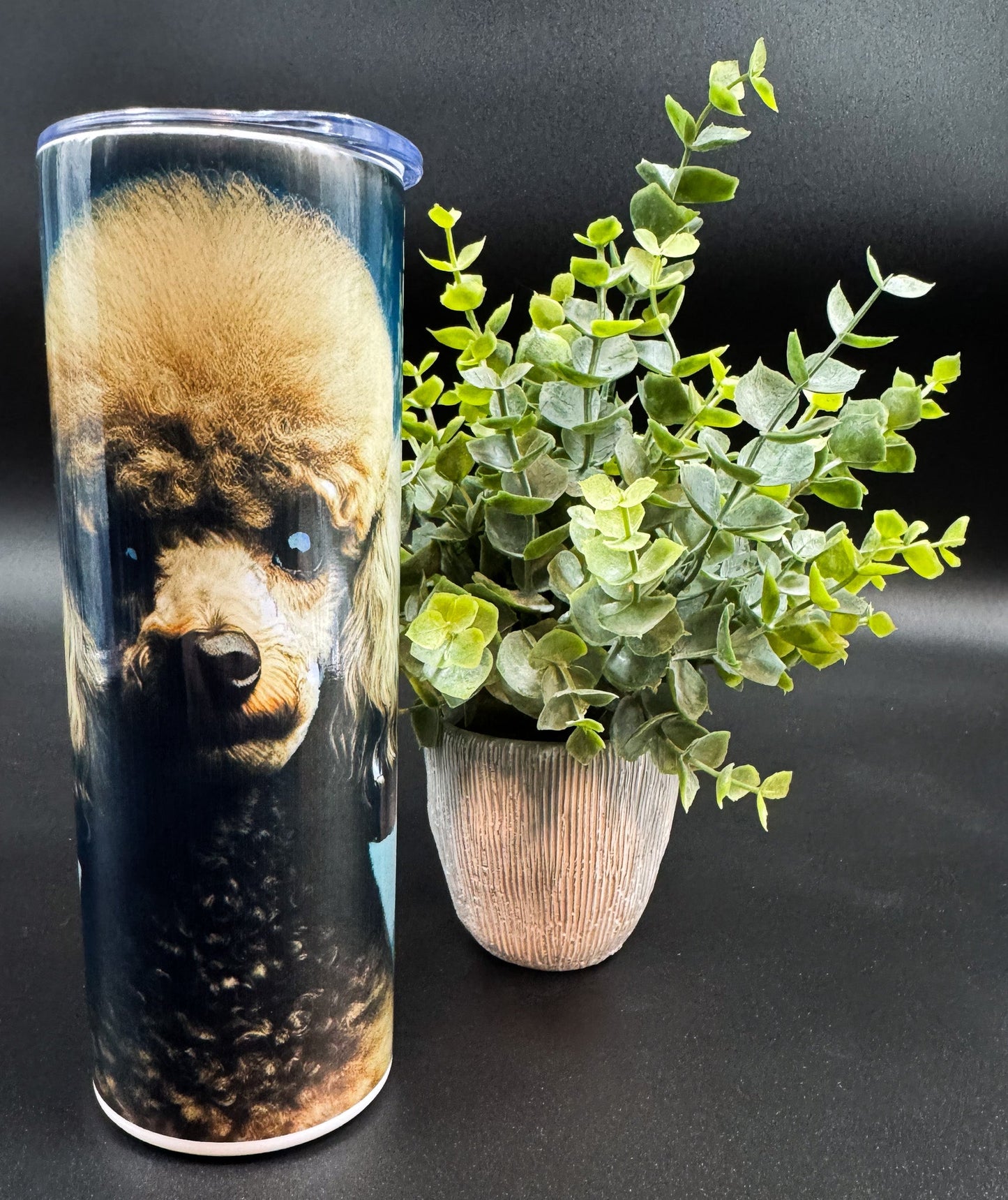 Bouteille isotherme avec un visage de Caniche sur fond bleu Boutique Poilue & Co.