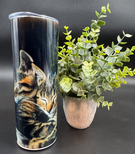 Bouteille isotherme avec deux chats sur fond noir Boutique Poilue & Co.