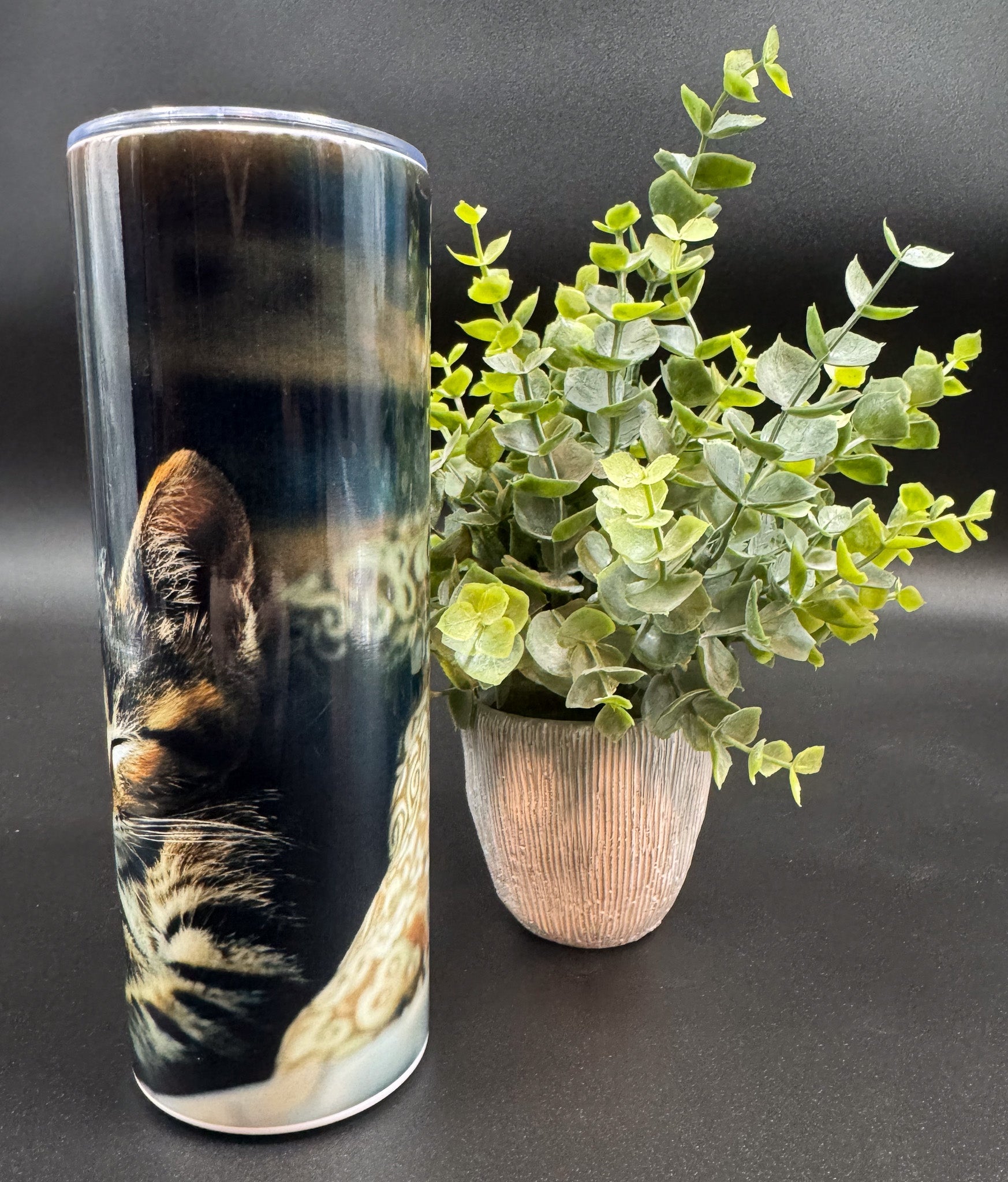Bouteille isotherme avec deux chats sur fond noir Boutique Poilue & Co.