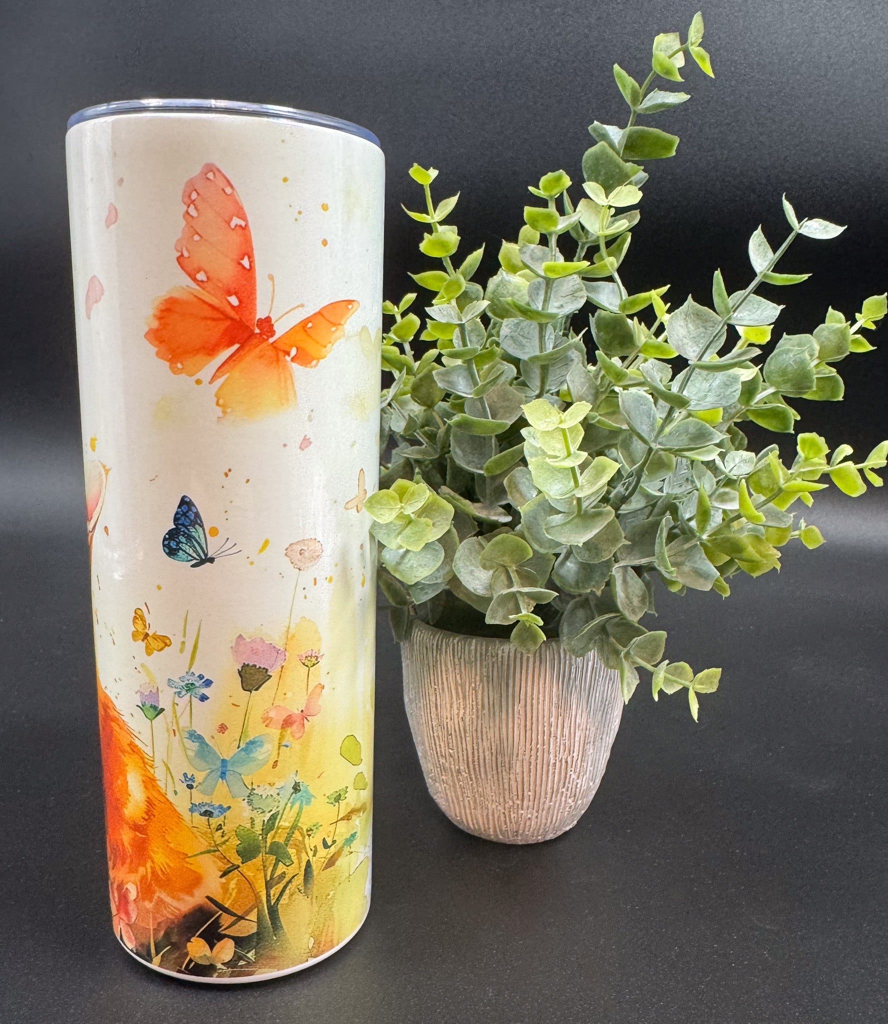 Bouteille isotherme avec chat sur fond blanc et papillons Boutique Poilue & Co.