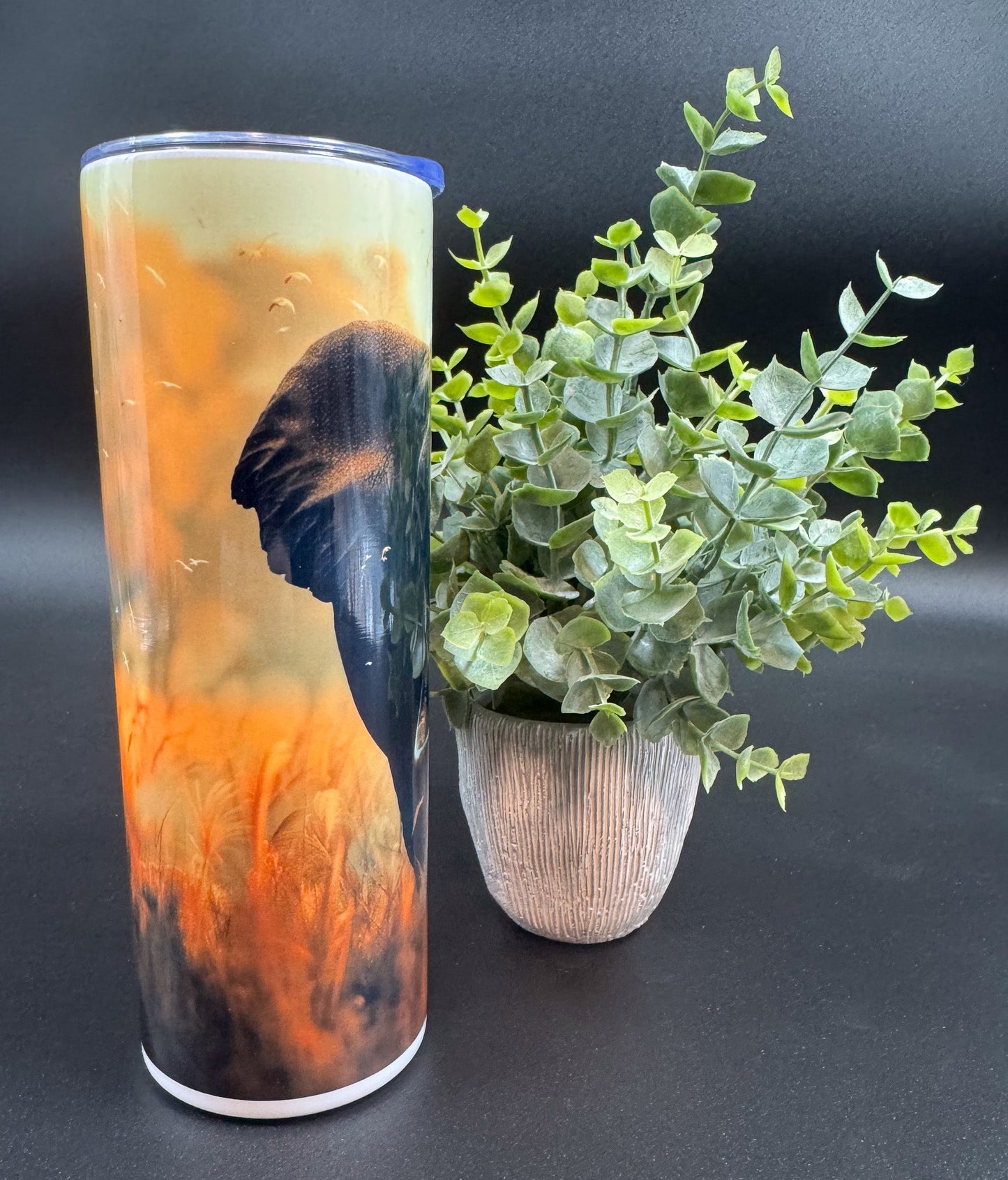 Bouteille isotherme avec un éléphant sur fond orangé Boutique Poilue & Co.